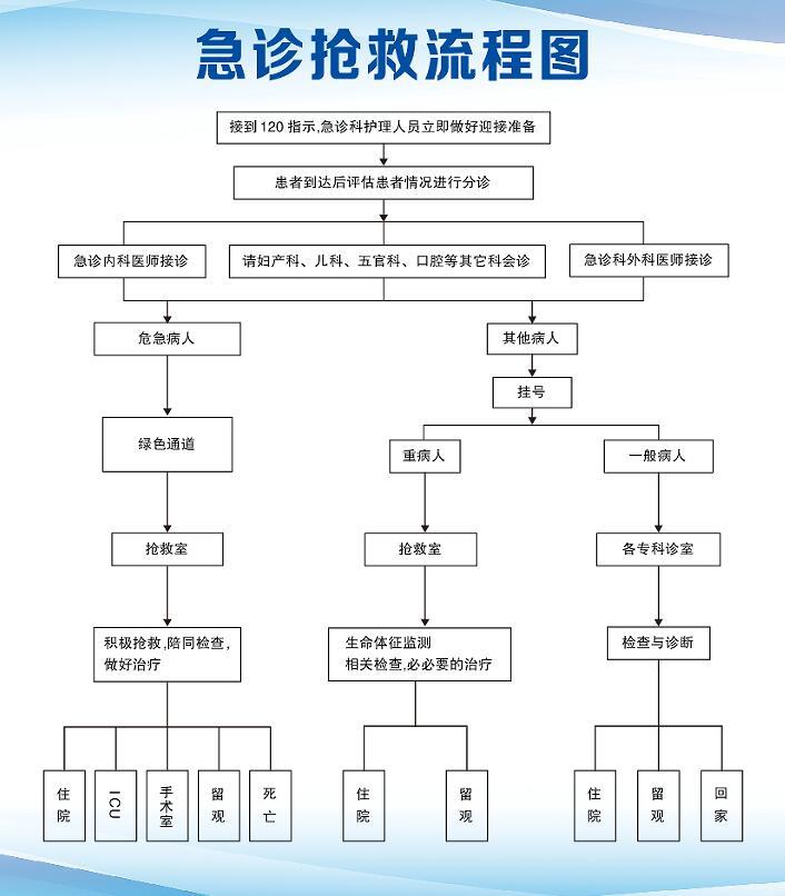 急診搶救流程圖.jpg